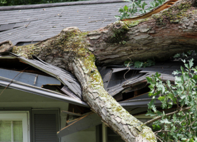 Storm Damage Restoration