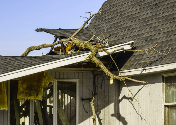 Strom Damage Restoration